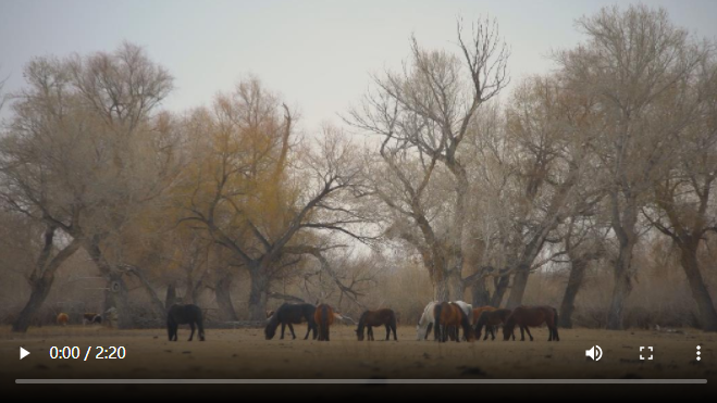 微信截圖_20210611170437 微信截圖_20210611170437