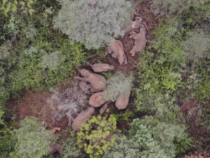 DJI_20210611090724_0010_Z