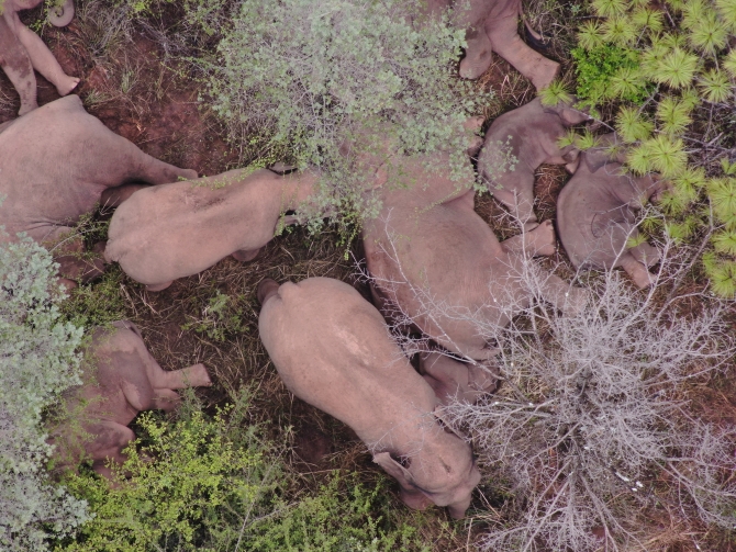 DJI_20210611092927_0057_Z