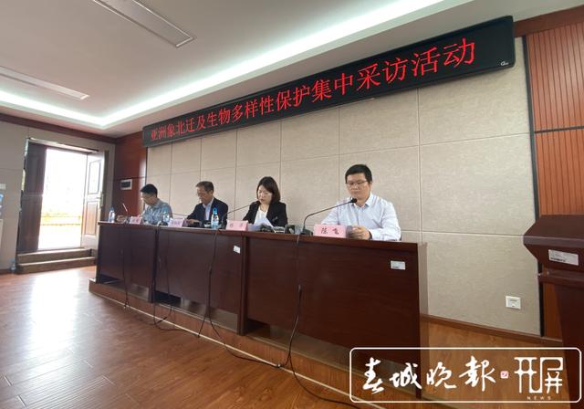 亞洲象從150頭增至300頭！云南是這樣做到的…（ 王宇衡 攝影報道）