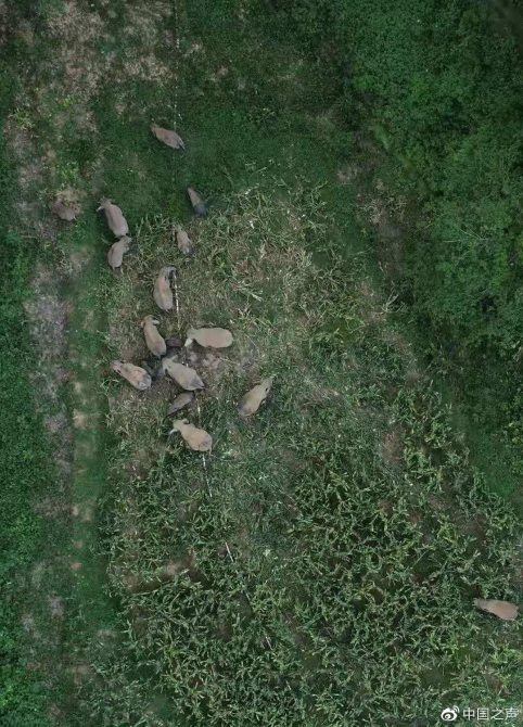 1622547301296580.jpg?x-oss-process=style/w10 微信圖片_20210601193432.jpg?x-oss-process=style/w10