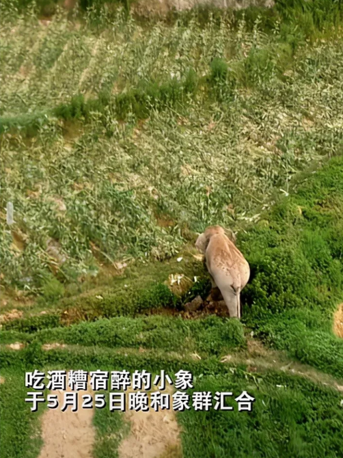 微信圖片_20210608102042.png 微信圖片_20210608102042.png