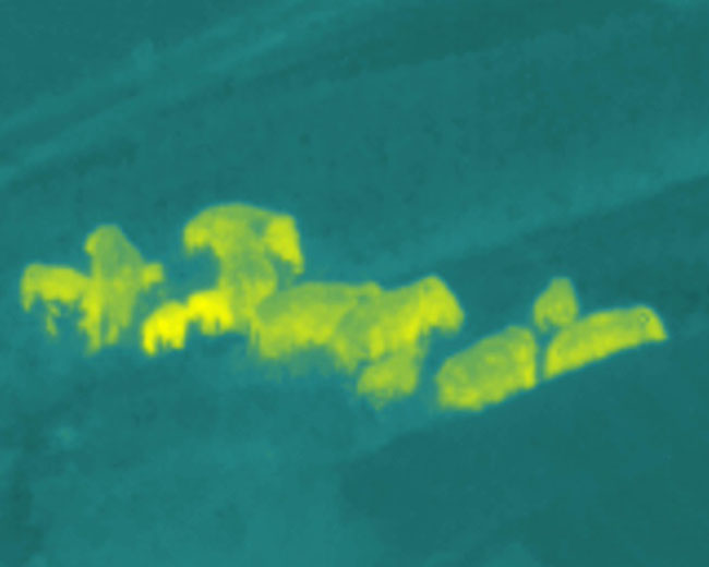 云南省森林消防總隊供圖 (6)