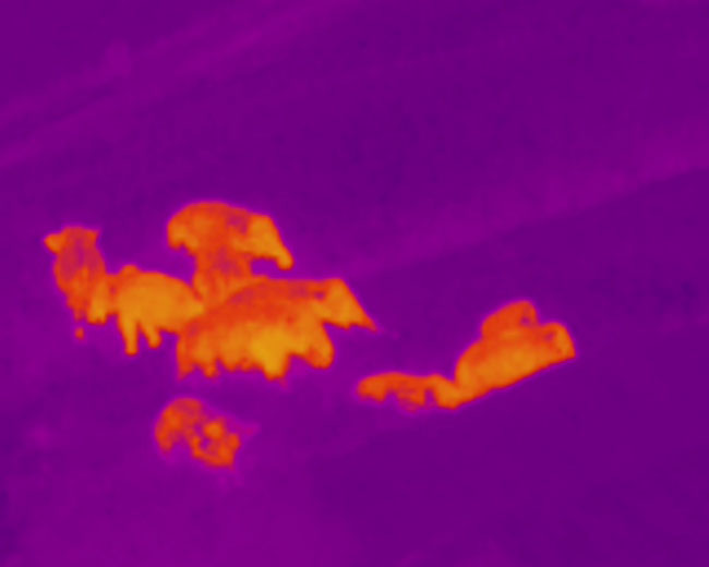 云南省森林消防總隊供圖 (5)