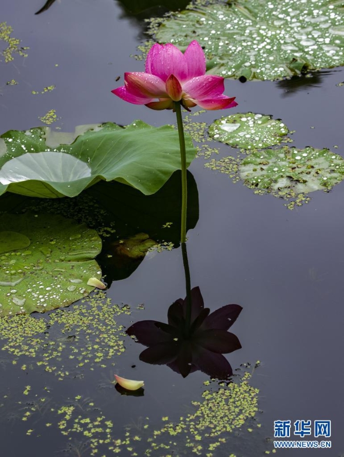 1310004187_16235445658511n 1310004187_16235445658511n