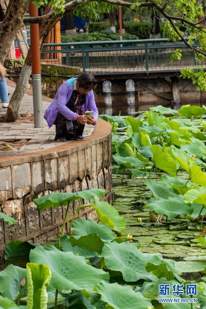 1310004187_16235445659031n 1310004187_16235445659031n