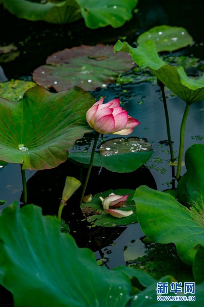 1310004187_16235445660601n 1310004187_16235445660601n