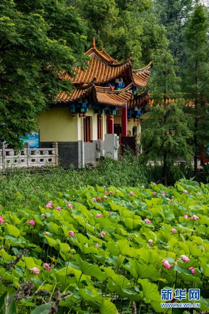 1310004187_16235445661081n 1310004187_16235445661081n