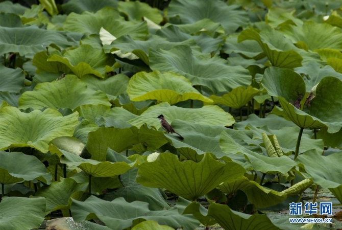 1310004187_16235445655001n 1310004187_16235445655001n