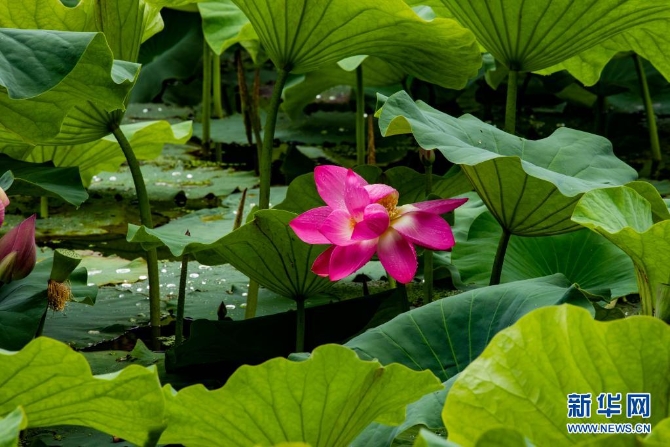 1310004187_16235445656011n 1310004187_16235445656011n