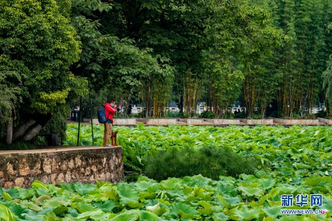 1310004187_16235445656501n 1310004187_16235445656501n