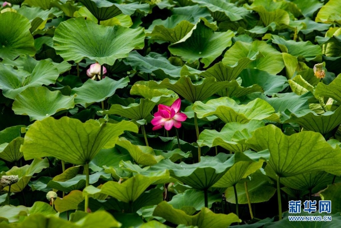 1310004187_16235445657081n 1310004187_16235445657081n