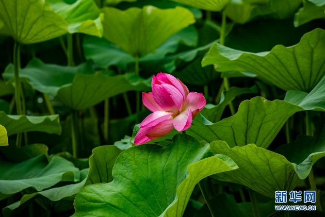 1310004187_16235445657591n 1310004187_16235445657591n