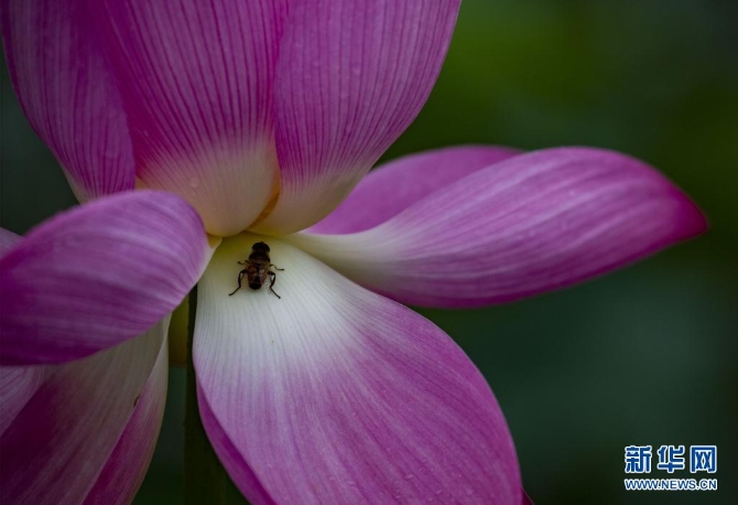 1310004187_16235445658071n 1310004187_16235445658071n