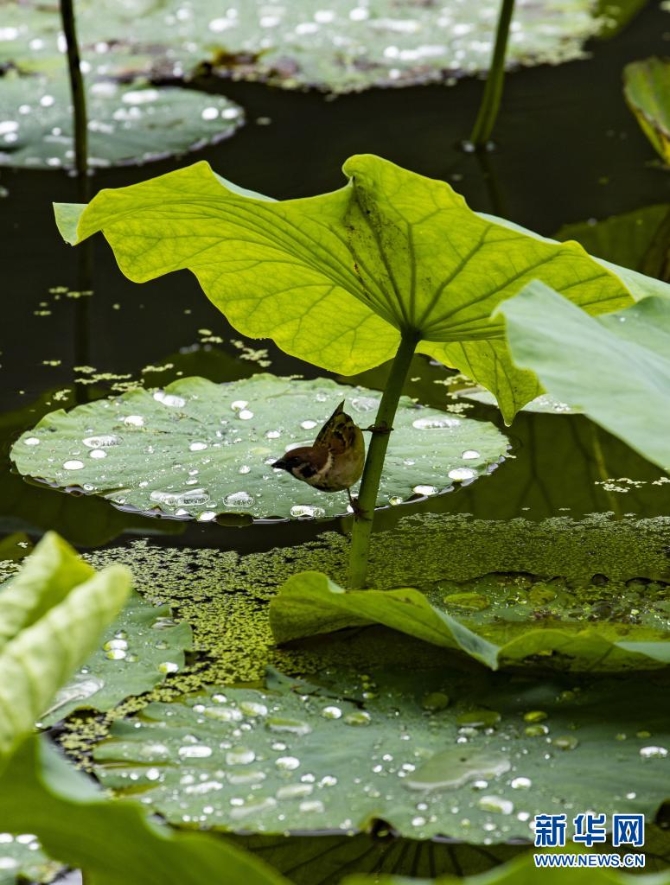 1310004187_16235445653871n 1310004187_16235445653871n