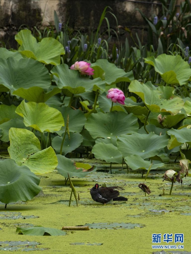 1310004187_16235445654431n 1310004187_16235445654431n