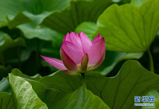 1310004187_16235445651821n 1310004187_16235445651821n