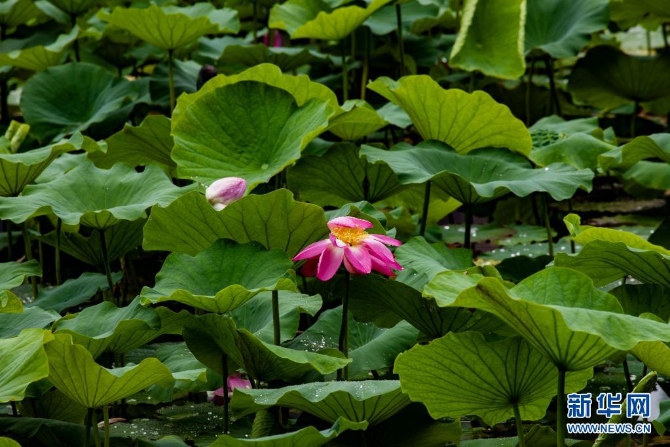 1310004187_16235445652271n 1310004187_16235445652271n