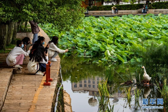 1310004187_16235445652781n 1310004187_16235445652781n