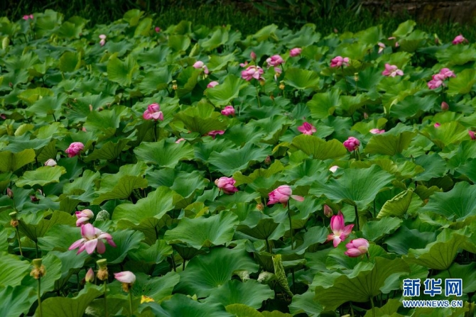 1310004187_16235445653351n 1310004187_16235445653351n