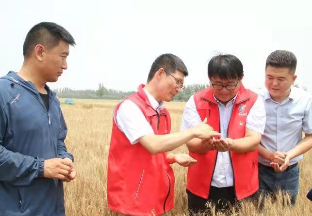 0a29489e4ec54a04b9cd595572d56cf7