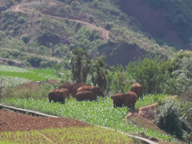 code_ynrb3f6a17fb-03e3-4084-97b4-93c101116ae9