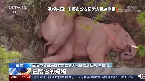 640.webp (21) 640.webp (21)