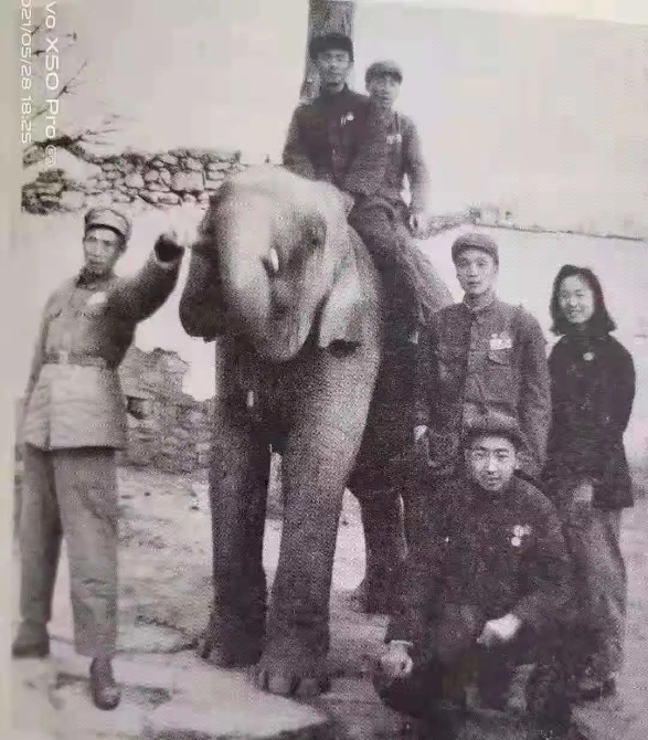 640.webp (12) 640.webp (12)