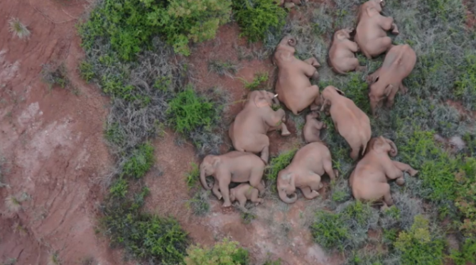 微信截圖_20210617201921