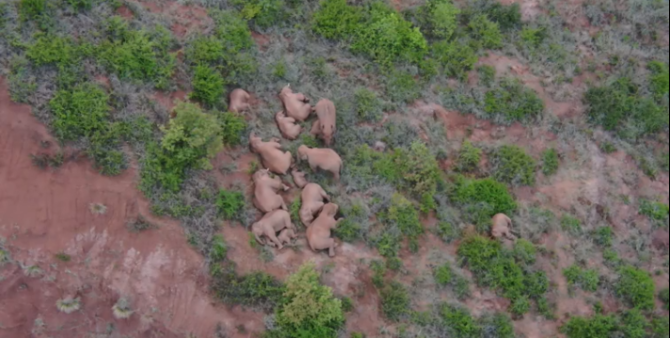 微信截圖_20210617201825