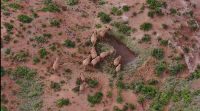 微信截圖_20210617201957