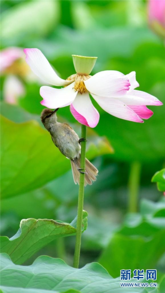 1310012398_16238911694281n 1310012398_16238911694281n