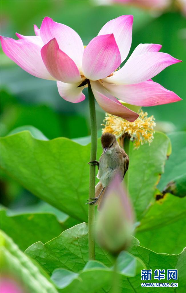 1310012398_16238911695321n 1310012398_16238911695321n