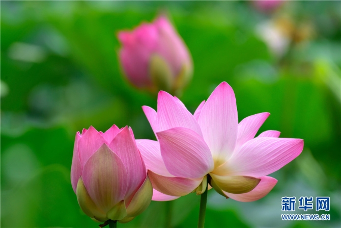 1310012398_16238911696341n 1310012398_16238911696341n