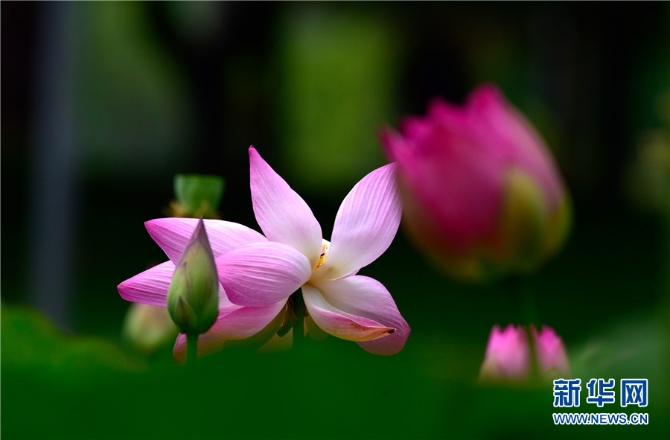 1310012398_16238911697481n 1310012398_16238911697481n