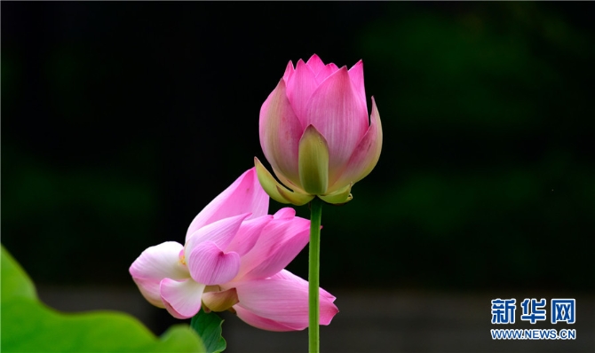 1310012398_16238911698551n 1310012398_16238911698551n