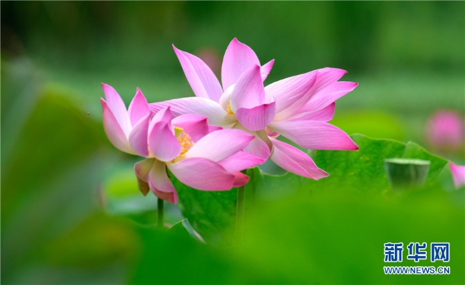 1310012398_16238911699601n 1310012398_16238911699601n