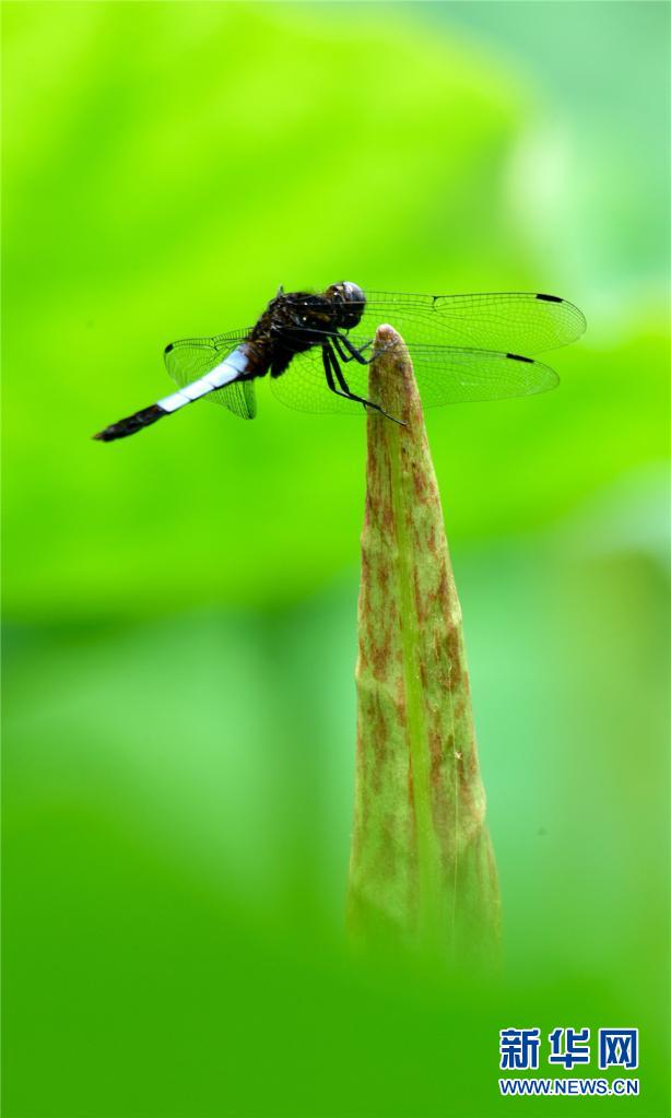 1310012398_16238911701861n 1310012398_16238911701861n