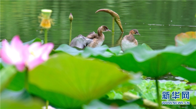 1310012398_16238911702741n 1310012398_16238911702741n