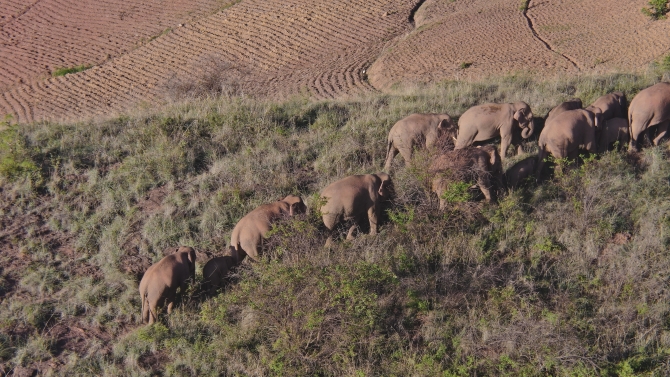 DJI_20210619071906_0024_Z DJI_20210619071906_0024_Z