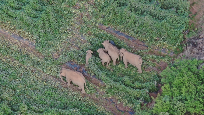 DJI_20210619074457_0033_Z DJI_20210619074457_0033_Z