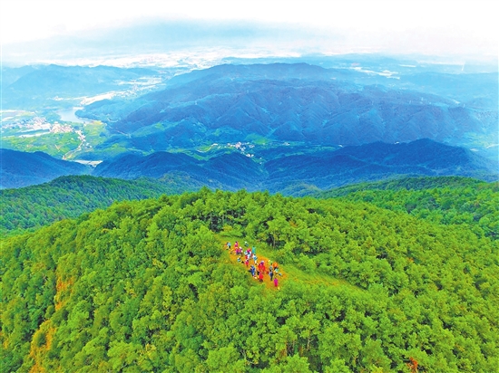 2021062101_res07_attpic_brief