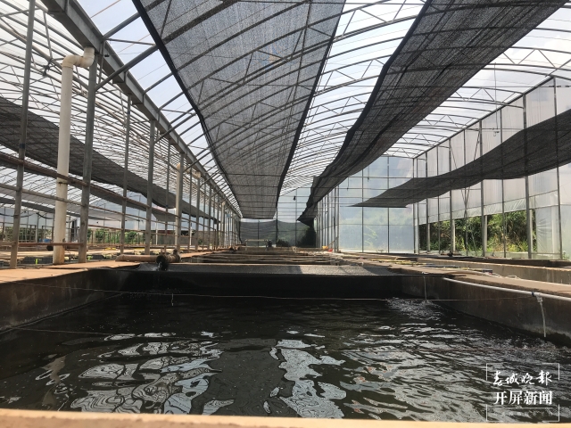 他和團(tuán)隊(duì)攻克48種云南土著魚人工繁殖技術(shù)難關(guān)