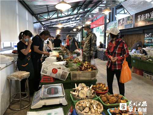 GGczzYHFTy GGczzYHFTy