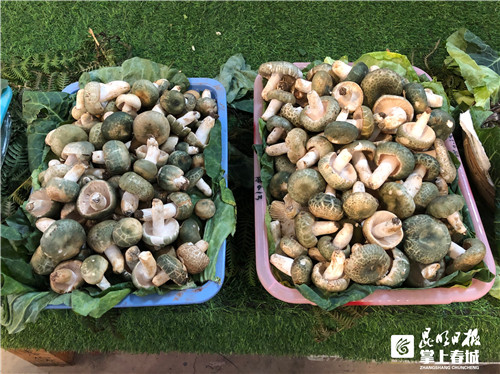 i4AEJr7sSm i4AEJr7sSm