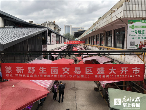 QdDziiQjQn QdDziiQjQn