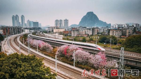 南寧至廈門有直達動車啦！6月25日起全國鐵路實施新列車運行圖