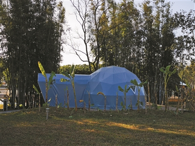 20210622102828836309535 20210622102828836309535