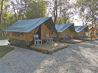 20210622102838086879237 20210622102838086879237