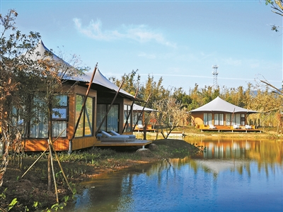 20210622102846422304780 20210622102846422304780